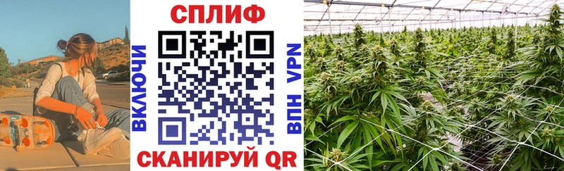 Канабис SATIVA & INDICA Бугульма